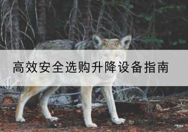 怀集升降货梯厂家推荐-*安全选购升降设备指南