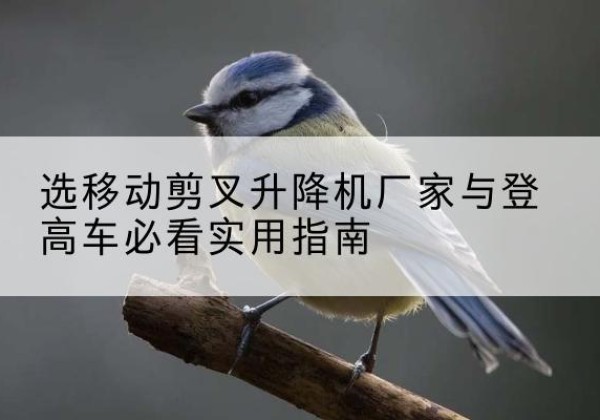 怀集电动升降机厂家-选移动剪叉升降机厂家与登高车必看实用指南