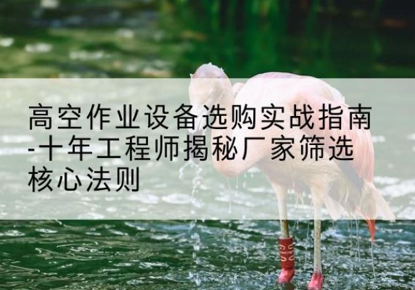怀集剪叉式升降机厂家-高空作业设备选购实战指南-十年工程师揭秘厂家筛选核心法则